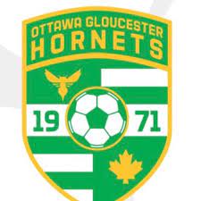 Hornets